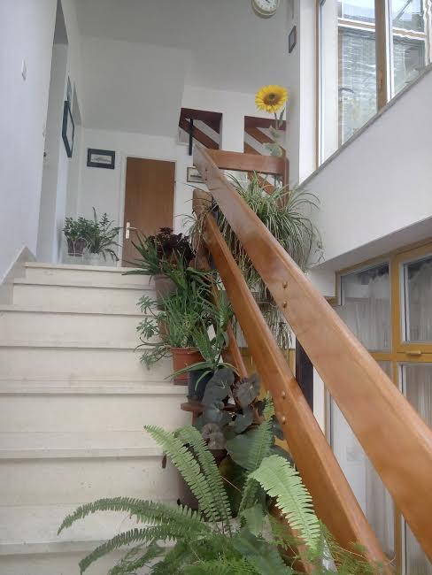 Apartmani Maretimo Primosten Exterior photo